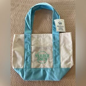 Mini Pastel Canvas Tote Bag in Light Blue and Cream